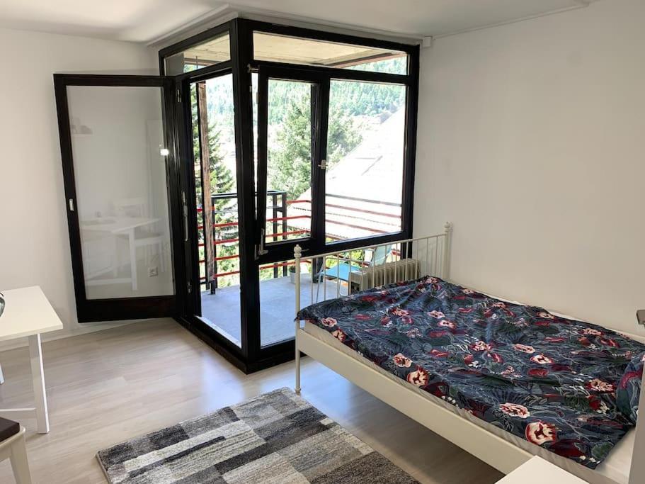 Gemuetliches Einzimmer-Apartment 33 บาดวิลด์บาด ภายนอก รูปภาพ
